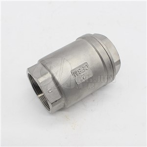 Vertical Check Valve